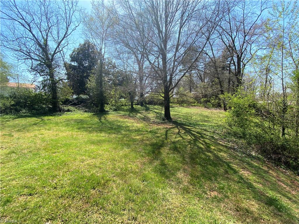 206 Lonesome Road Madison, NC 27025 - Photo 37 of 40 Back yard