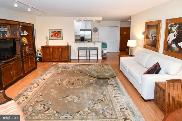 a living room filled with furniture and a potted plant