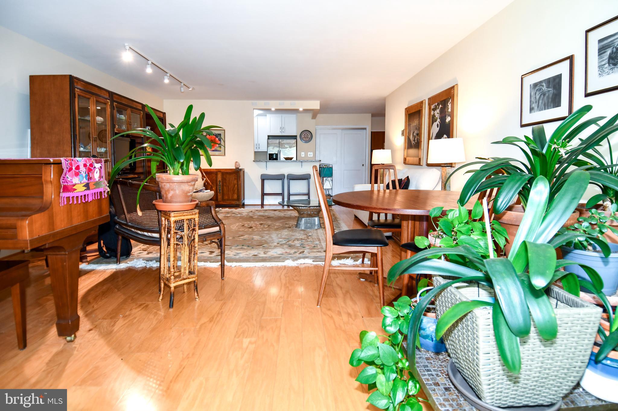 1435 4th Street Southwest, Unit B108 Washington, DC 20024 - Photo 15 of 57 a living room filled with furniture and a potted plant
