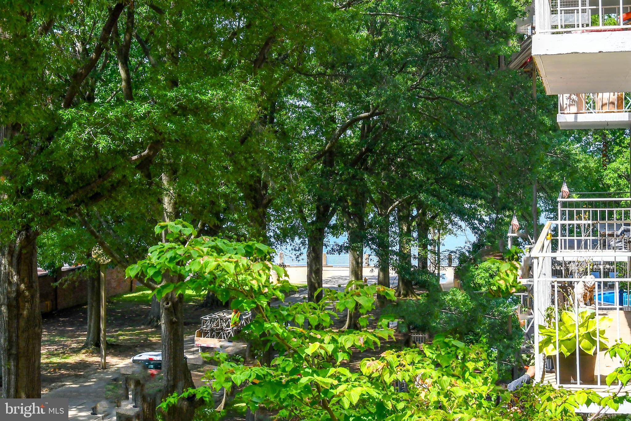 1435 4th Street Southwest, Unit B108 Washington, DC 20024 - Photo 37 of 57 a view of a house with a tree