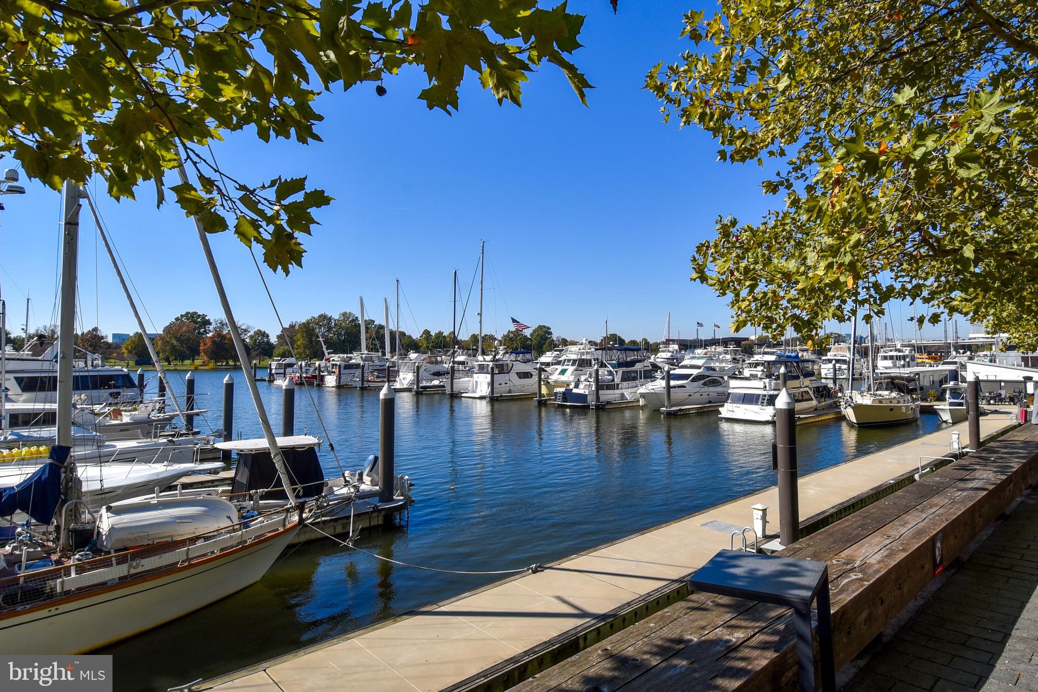 1435 4th Street Southwest, Unit B108 Washington, DC 20024 - Photo 51 of 57 a view of a lake with boats