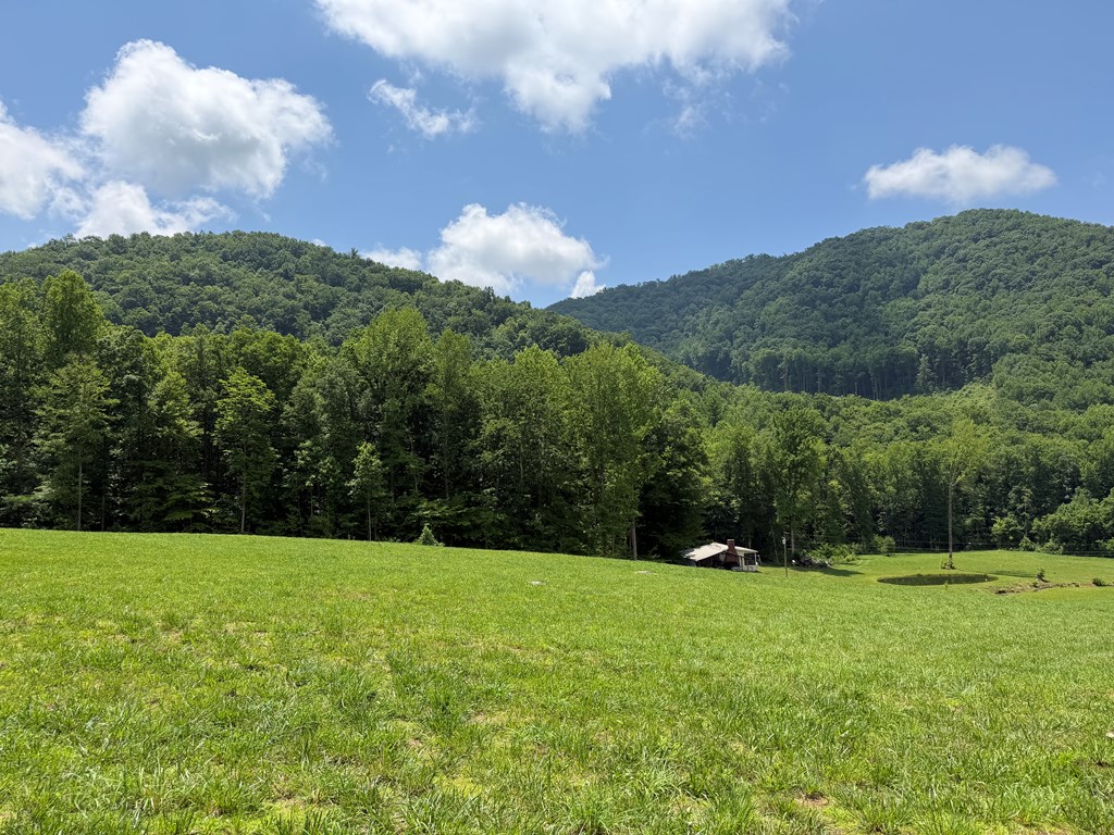 1446 Muskrat Creek Road Hayesville, NC 28904 - Photo 87 of 108