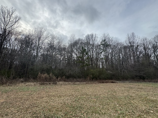 909 Curt Bailey Road Hartwell, GA 30643 - Photo 34 of 38 Gallery Image 34