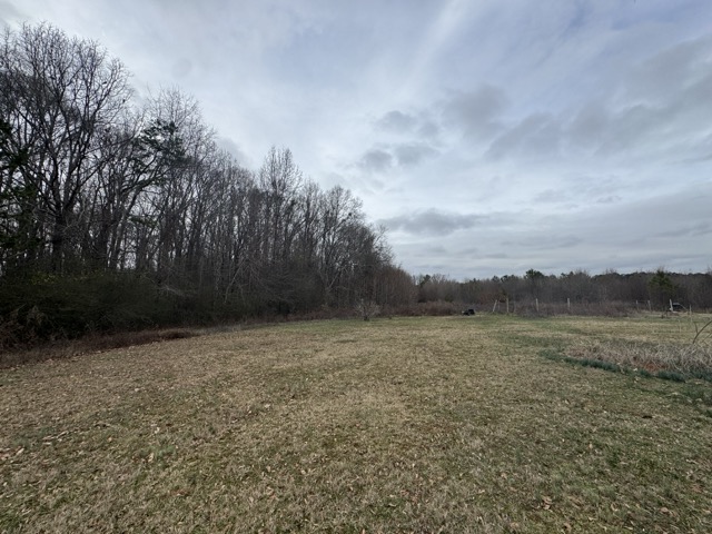 909 Curt Bailey Road Hartwell, GA 30643 - Photo 35 of 38 Gallery Image 35