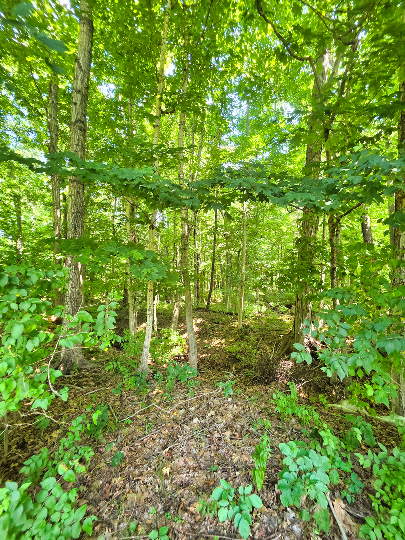 0 South Stanford Road Flora, IL 62839 - Photo 5 of 12 Gallery Image 5