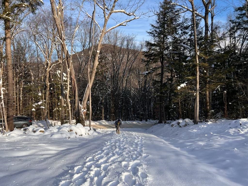 Beech Hill Road Campton, NH 03223 - Photo 3 of 7