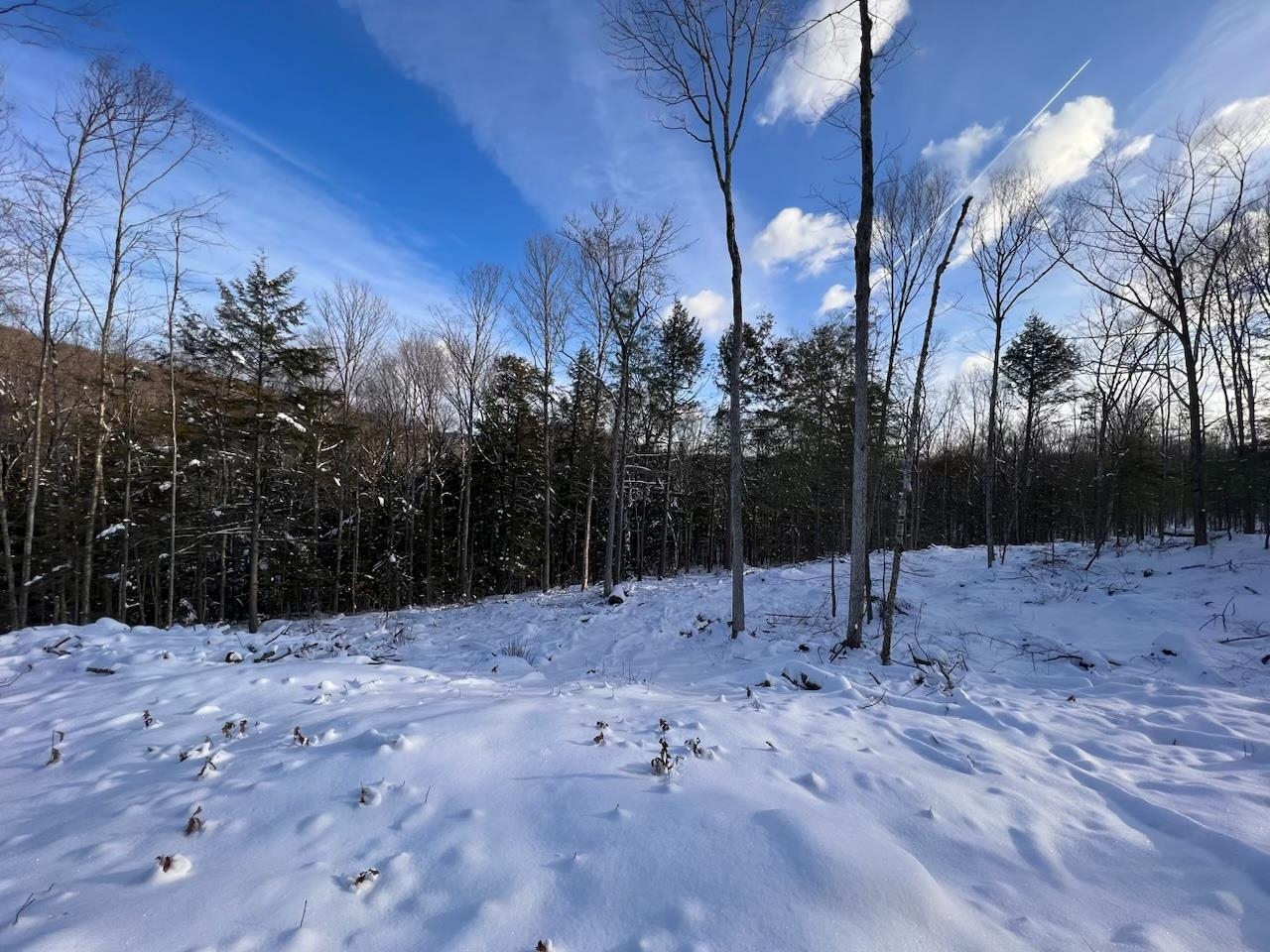 Beech Hill Road Campton, NH 03223 - Photo 4 of 7