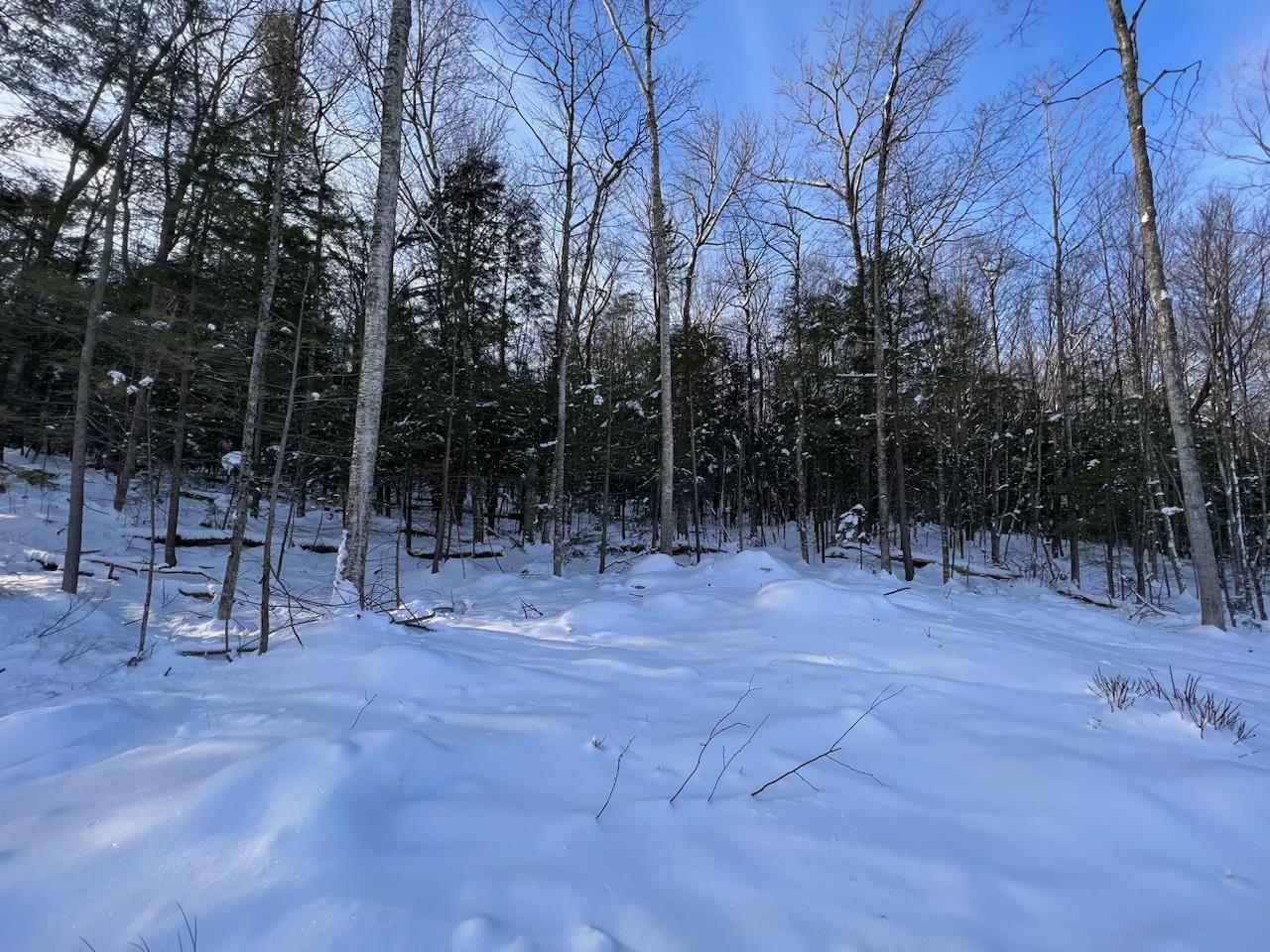 Beech Hill Road Campton, NH 03223 - Photo 6 of 7