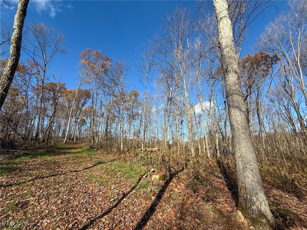 Kern Road Waterford, OH 45786 - Photo 27 of 49 View of local wilderness