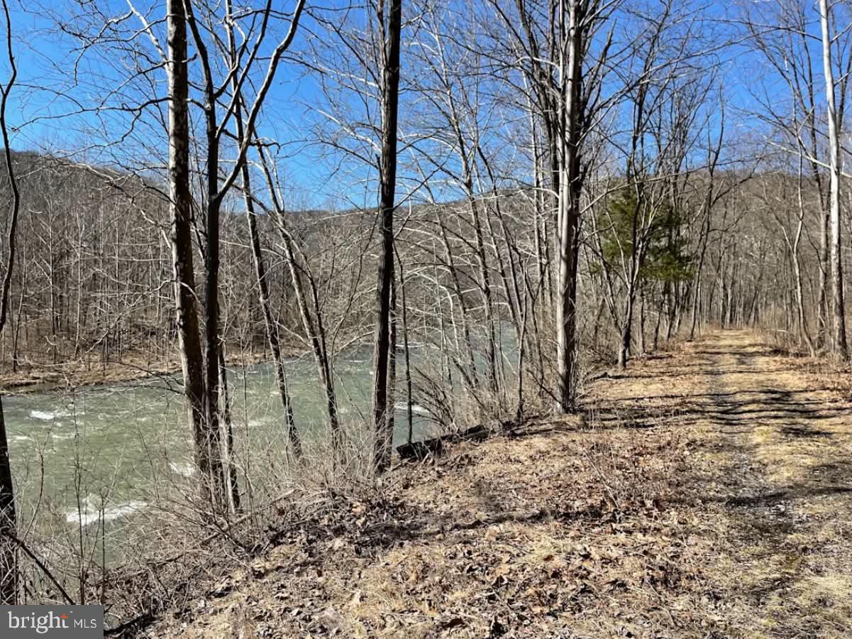 1515 Barnum Road Keyser, WV 26726 - Photo 27 of 64