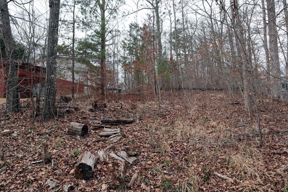 Lot 4 Bluegill Road Eatonton, GA 31024 - Photo 2 of 5 Gallery Image 2