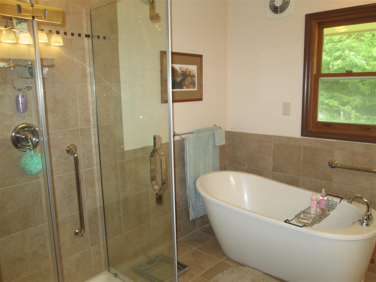 10217 Yale Bridge Road Rockton, IL 61072 - Photo 14 of 25 a bathroom with a bathtub and shower