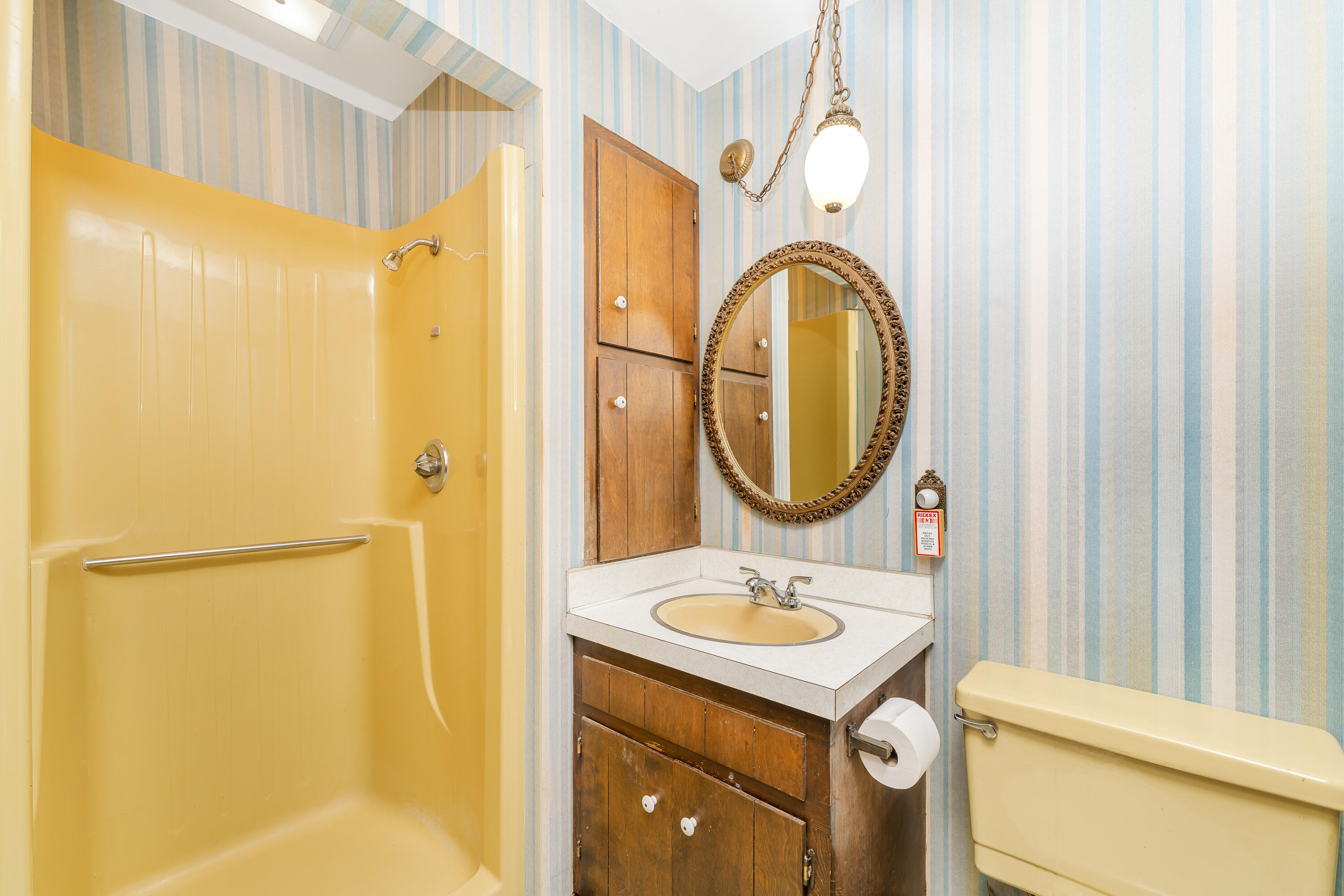 10798 Pleasant Lake Road Delton, MI 49046 - Photo 25 of 41 DSC03982