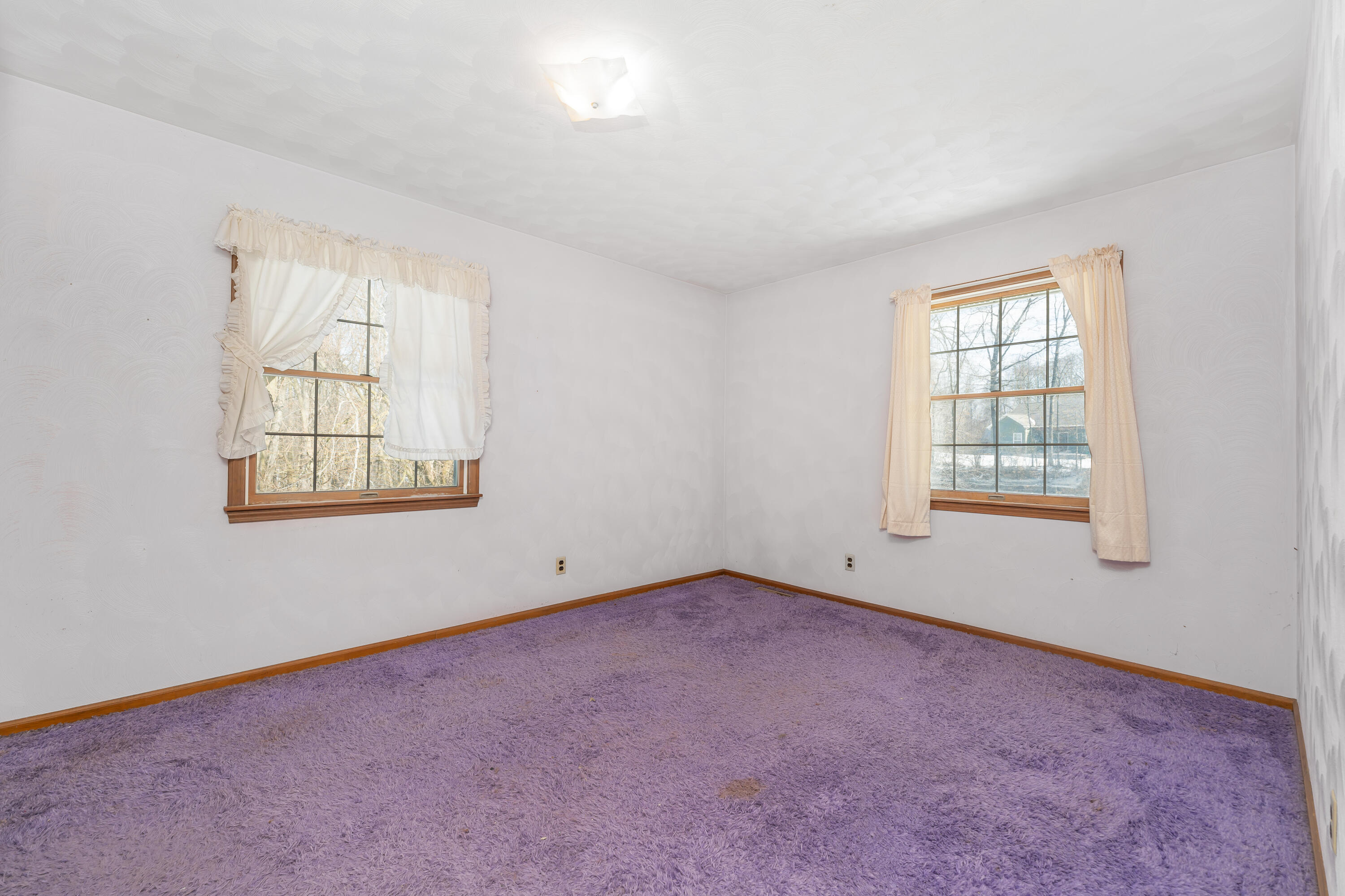 10798 Pleasant Lake Road Delton, MI 49046 - Photo 27 of 41 DSC03984