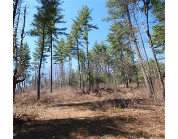 Lot 2 Ben Hale Road Gill, MA 01354 - Photo 1 of 4 Gallery Image 1