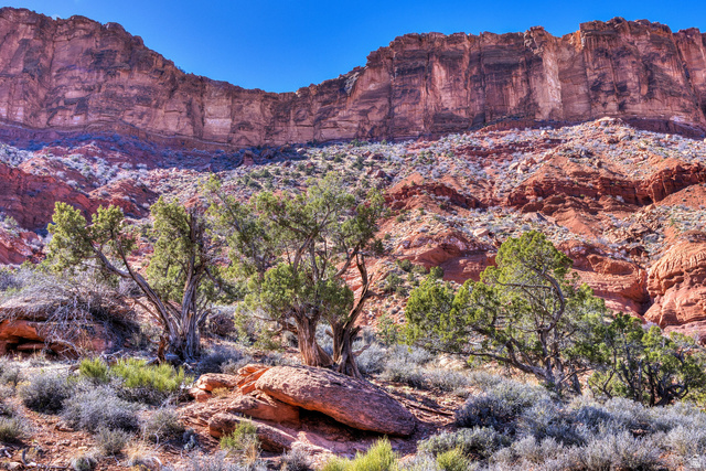 95 West Bailey Lane, Unit 95 Moab, UT 84532 - Photo 11 of 39
