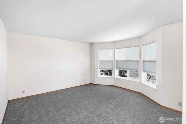 a bathroom with a shower and a toilet