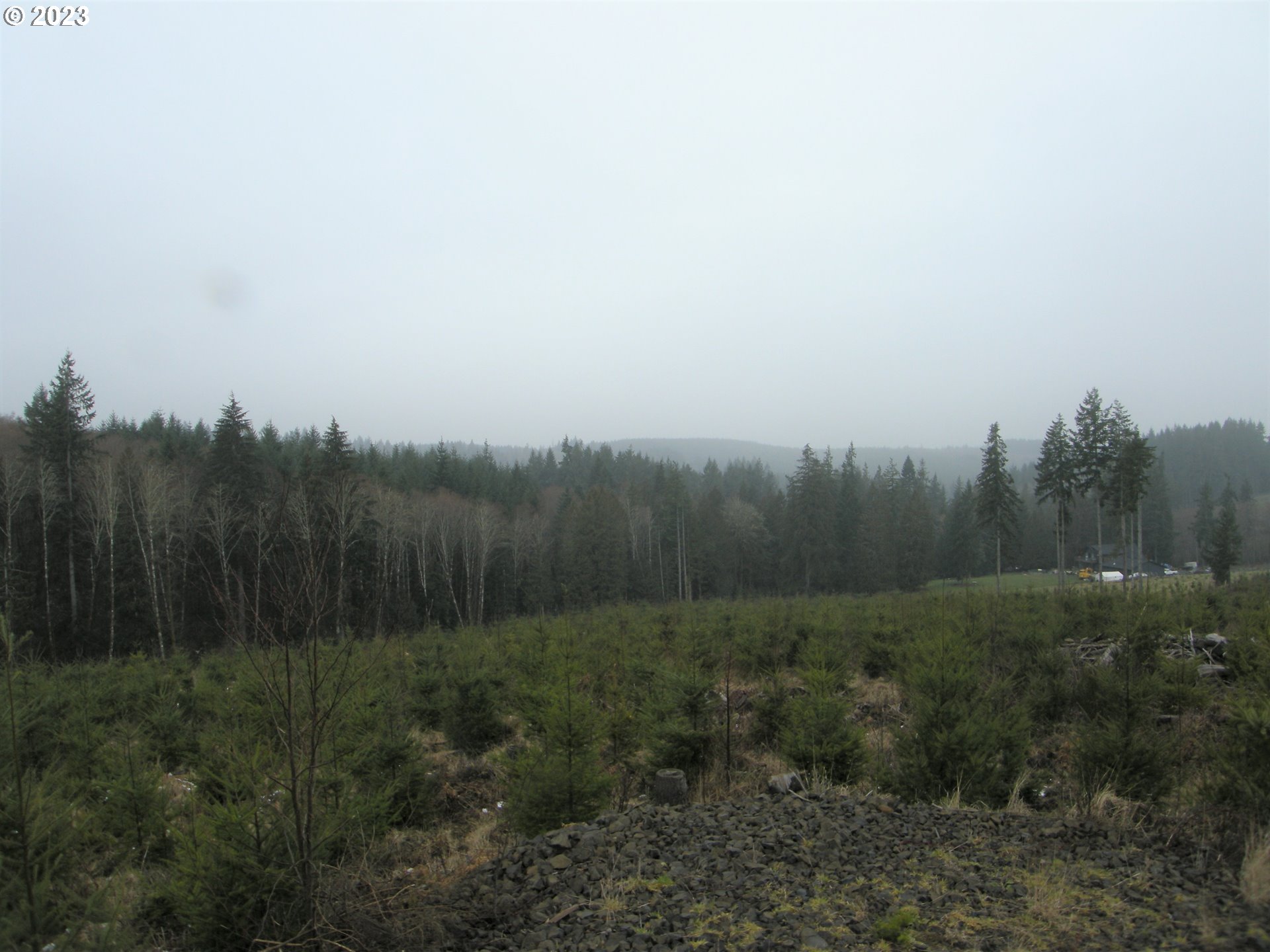 Pellham Hill Road, Unit 100 Rainier, OR 97048 - Photo 7 of 11 a view of a field