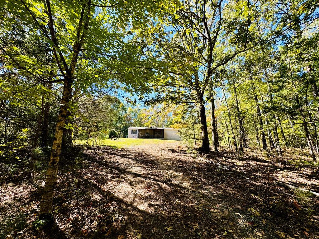 3180 Horseshoe Road Iva, SC 29655 - Photo 1 of 1 DRIVEWAY TO FRONT YARD
