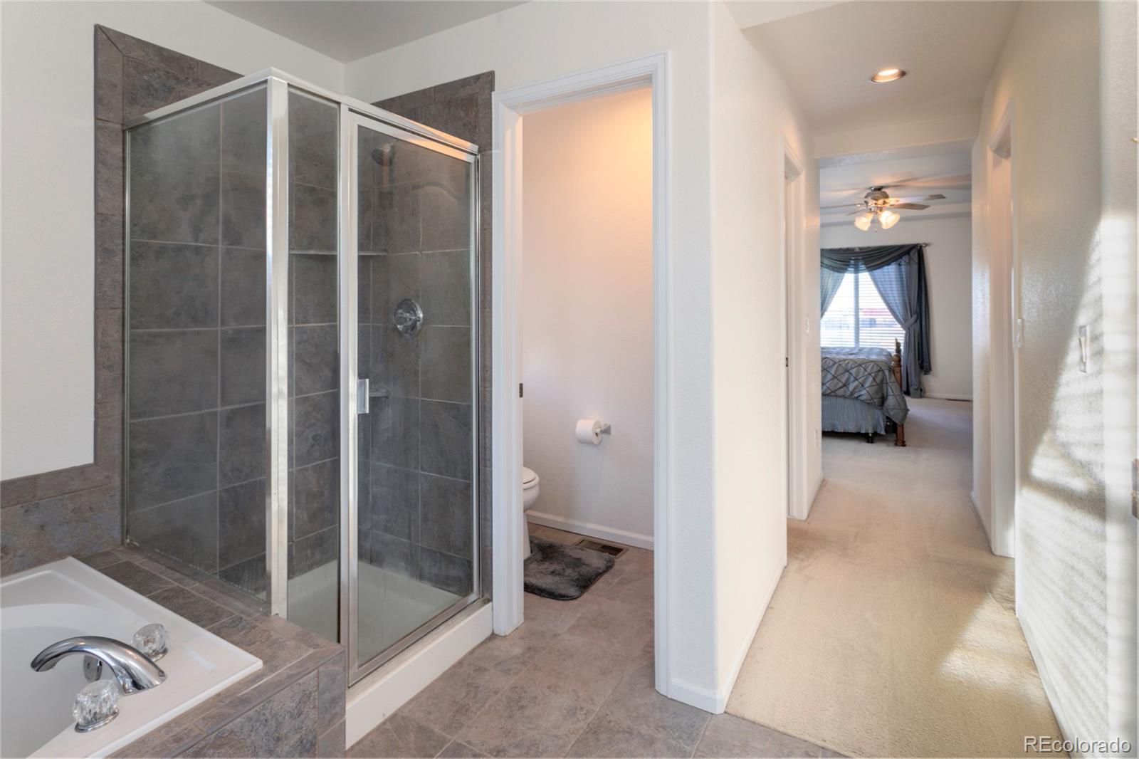 5446 Fullerton Circle Highlands Ranch, CO 80130 - Photo 22 of 42