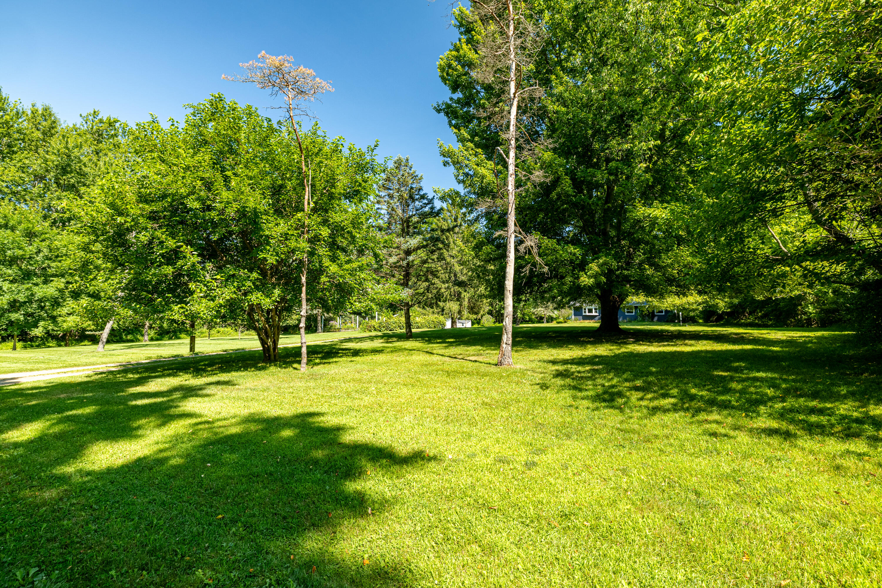 15450 Cassidy Road Chelsea, MI 48118 - Photo 53 of 72 15450 Cassidy Rd (38 of 59)