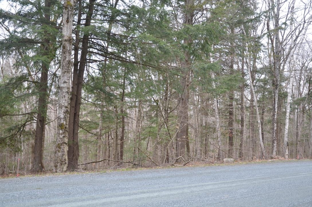 57 High Pond Road Grantham, NH 03753 - Photo 1 of 4 Gallery Image 1