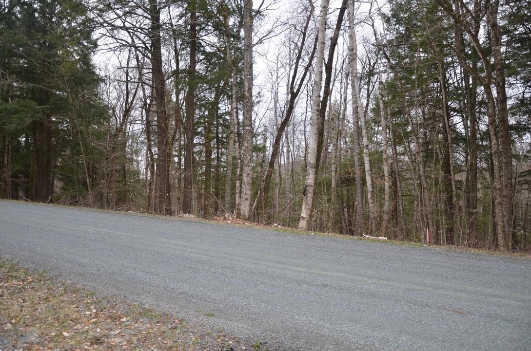 57 High Pond Road Grantham, NH 03753 - Photo 2 of 4 Gallery Image 2
