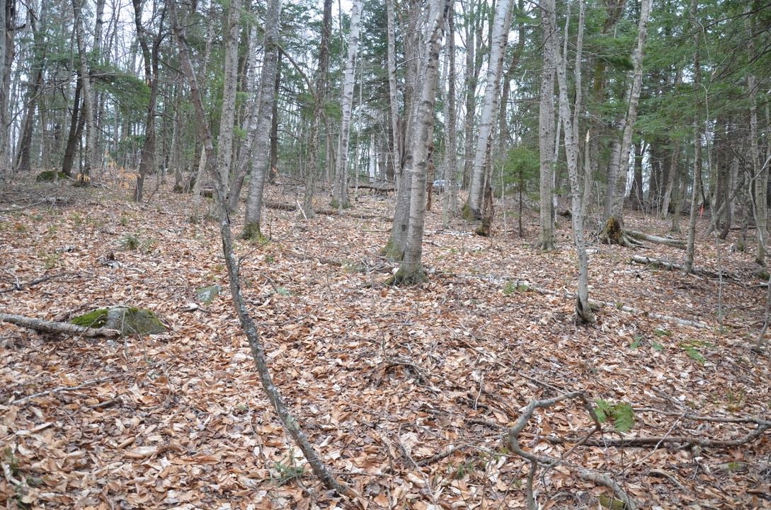 57 High Pond Road Grantham, NH 03753 - Photo 3 of 4 Gallery Image 3