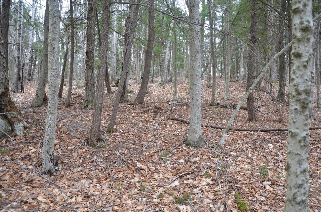 57 High Pond Road Grantham, NH 03753 - Photo 4 of 4 Gallery Image 4