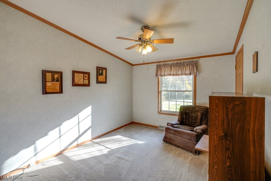 1189 Sandy Lake Road Ravenna, OH 44266 - Photo 24 of 32 Sitting room with light carpet, a textured ceiling, crown molding, ceiling fan, and lofted ceiling