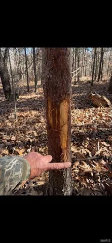 $1,100,000 | 3403 Ripley Bb-2, Doniphan, MO 63935