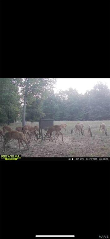 3403 Ripley Bb-2 Doniphan, MO 63935 - Photo 12 of 99