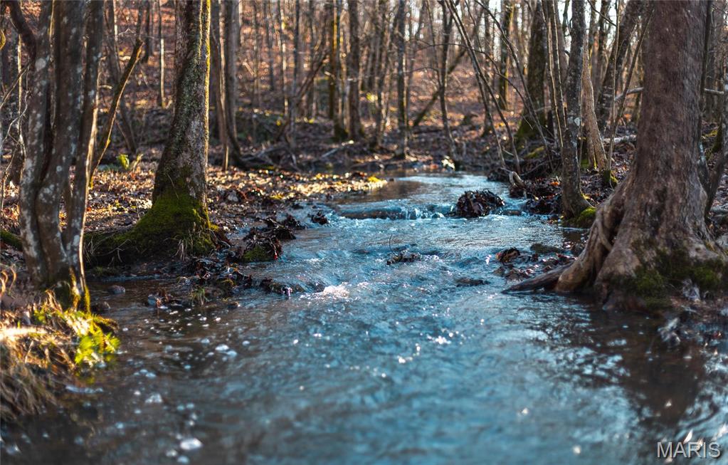 3403 Ripley Bb-2 Doniphan, MO 63935 - Photo 21 of 99