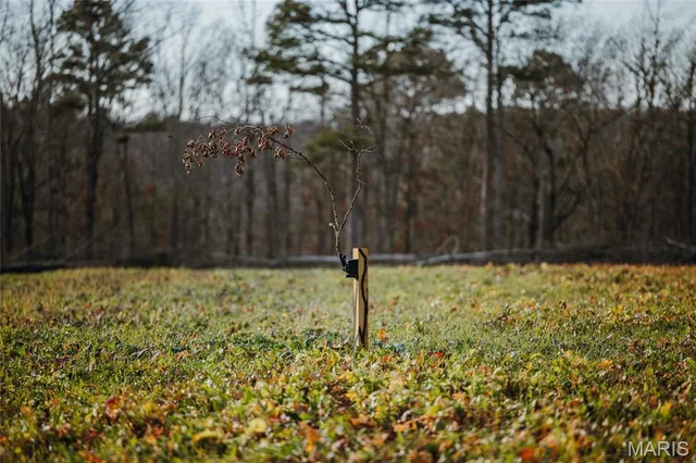 $1,100,000 | 3403 Ripley Bb-2, Doniphan, MO 63935