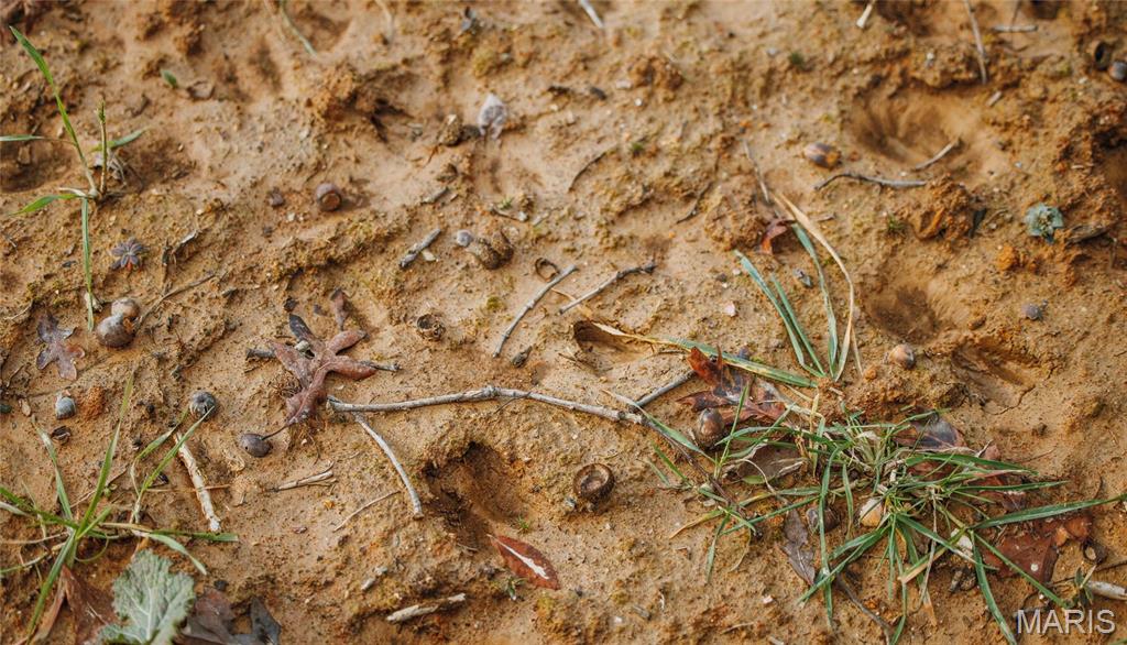 3403 Ripley Bb-2 Doniphan, MO 63935 - Photo 27 of 99