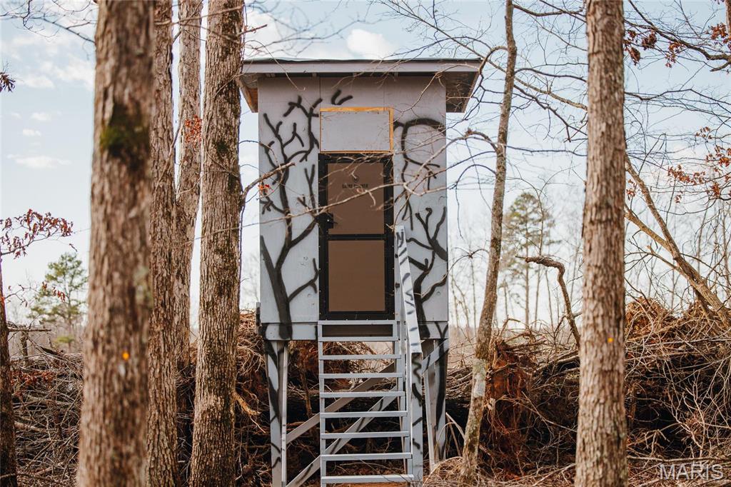 3403 Ripley Bb-2 Doniphan, MO 63935 - Photo 28 of 99