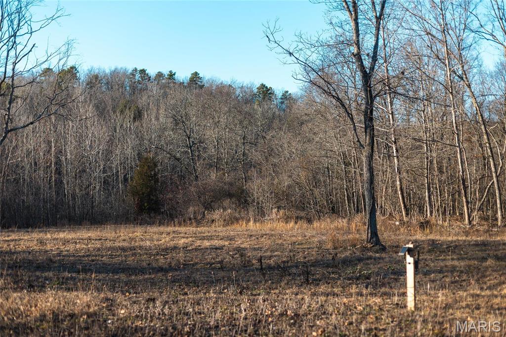 3403 Ripley Bb-2 Doniphan, MO 63935 - Photo 32 of 99