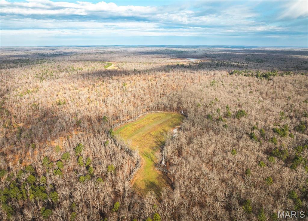 3403 Ripley Bb-2 Doniphan, MO 63935 - Photo 34 of 99