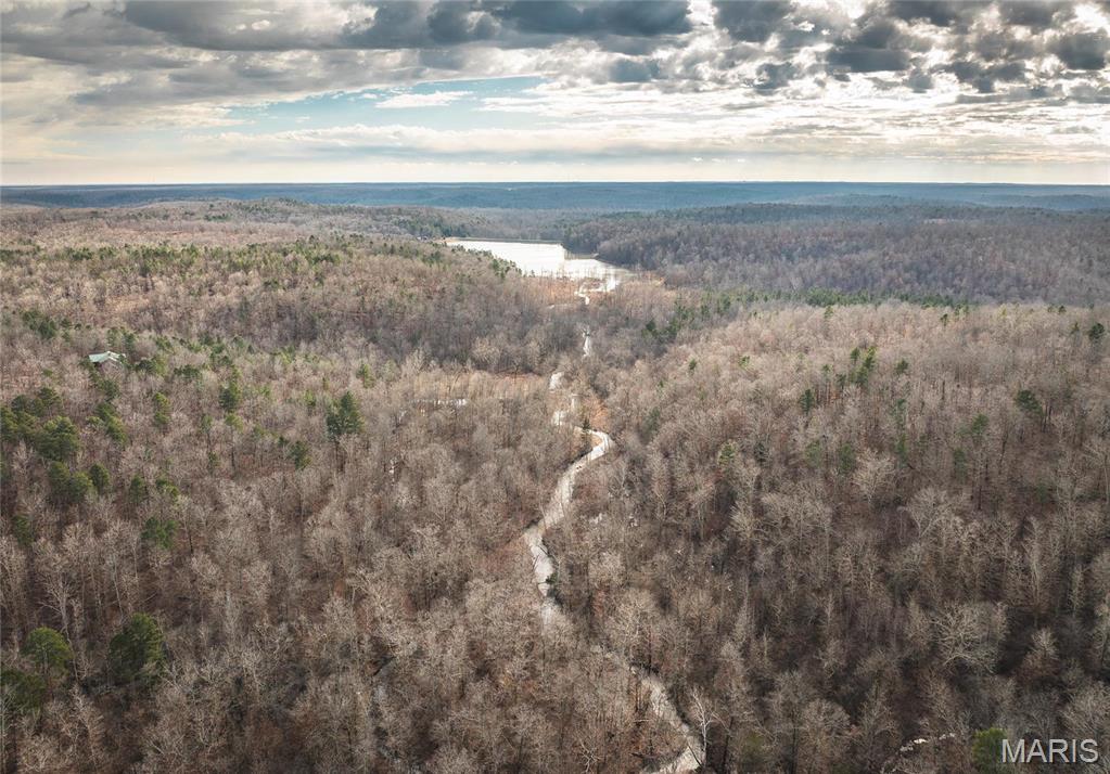 3403 Ripley Bb-2 Doniphan, MO 63935 - Photo 35 of 99