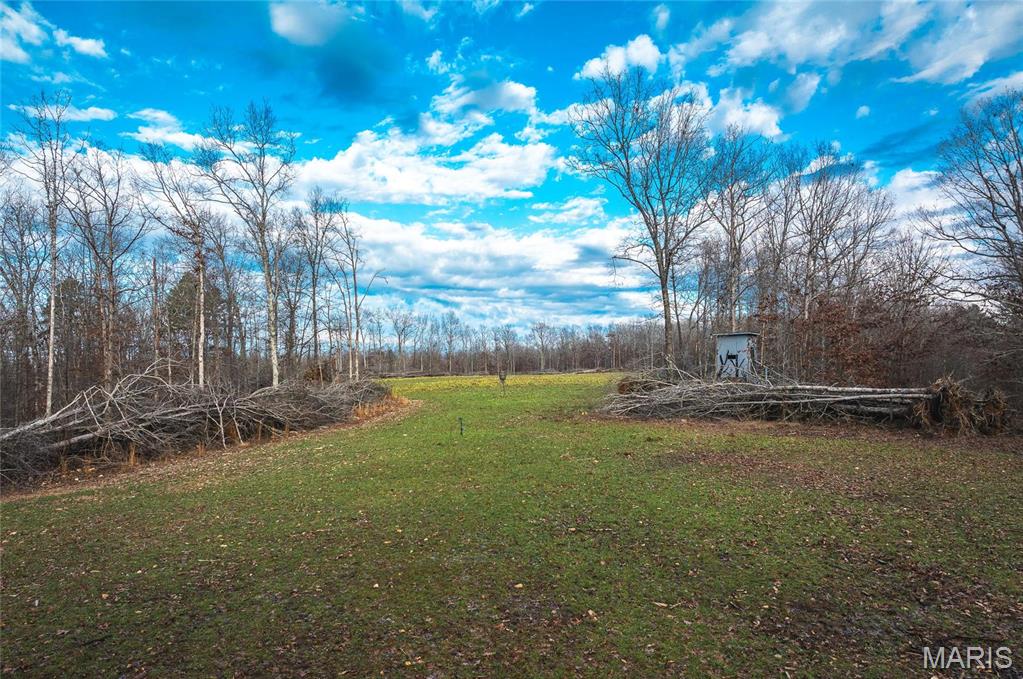 3403 Ripley Bb-2 Doniphan, MO 63935 - Photo 42 of 99