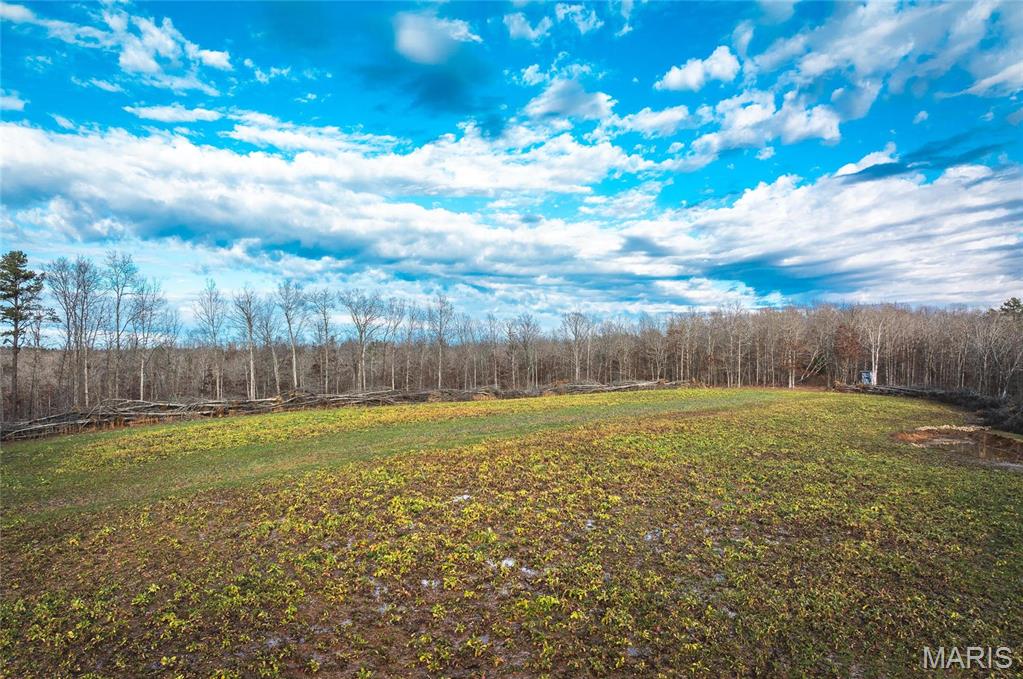 3403 Ripley Bb-2 Doniphan, MO 63935 - Photo 43 of 99