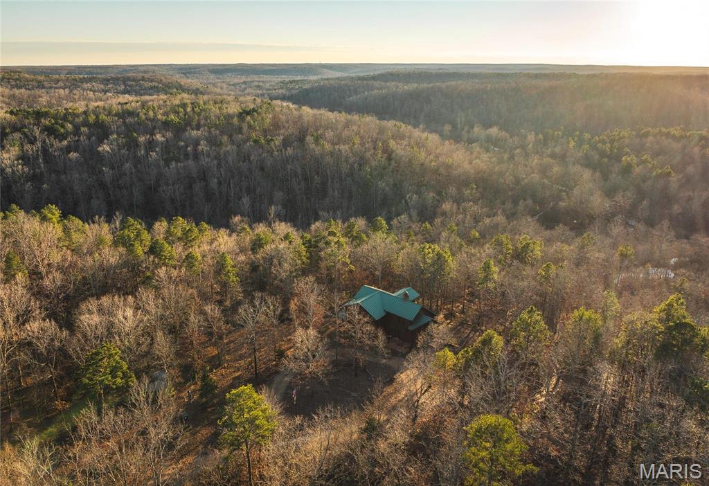 3403 Ripley Bb-2 Doniphan, MO 63935 - Photo 47 of 99