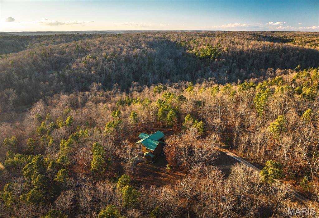 3403 Ripley Bb-2 Doniphan, MO 63935 - Photo 48 of 99