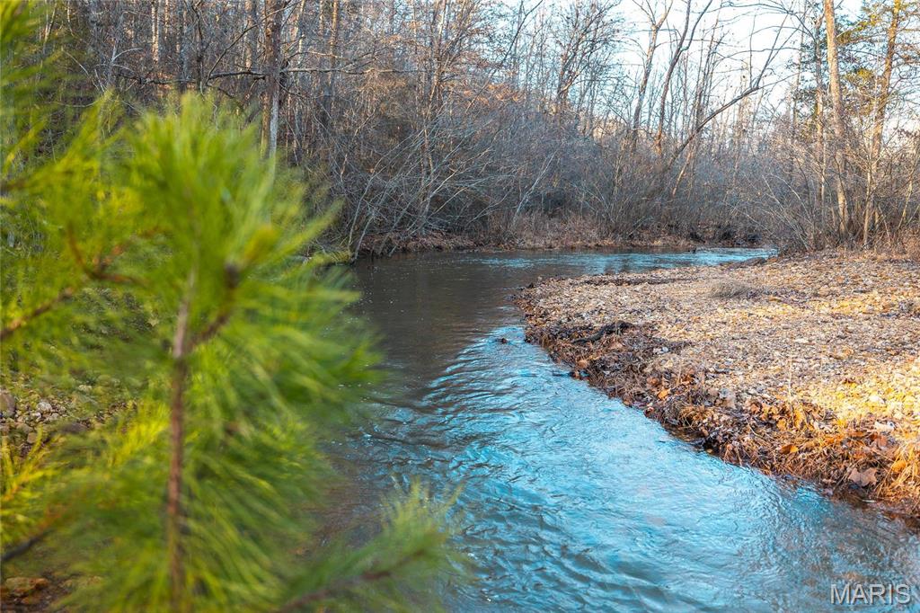 3403 Ripley Bb-2 Doniphan, MO 63935 - Photo 5 of 99
