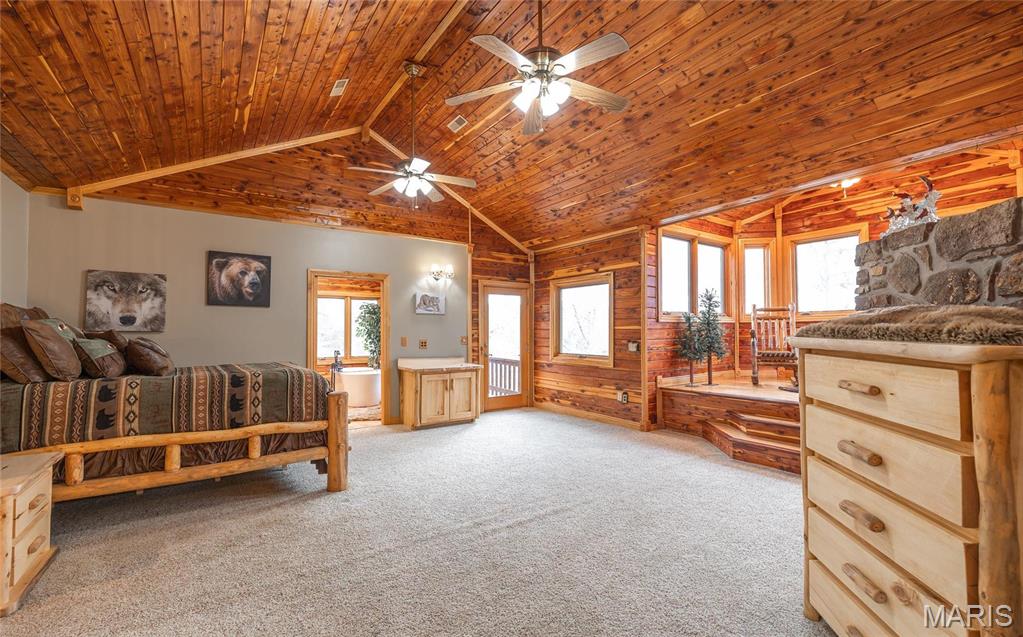 3403 Ripley Bb-2 Doniphan, MO 63935 - Photo 65 of 99