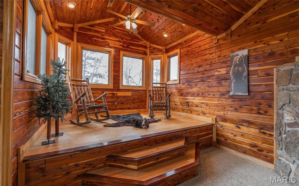 3403 Ripley Bb-2 Doniphan, MO 63935 - Photo 66 of 99