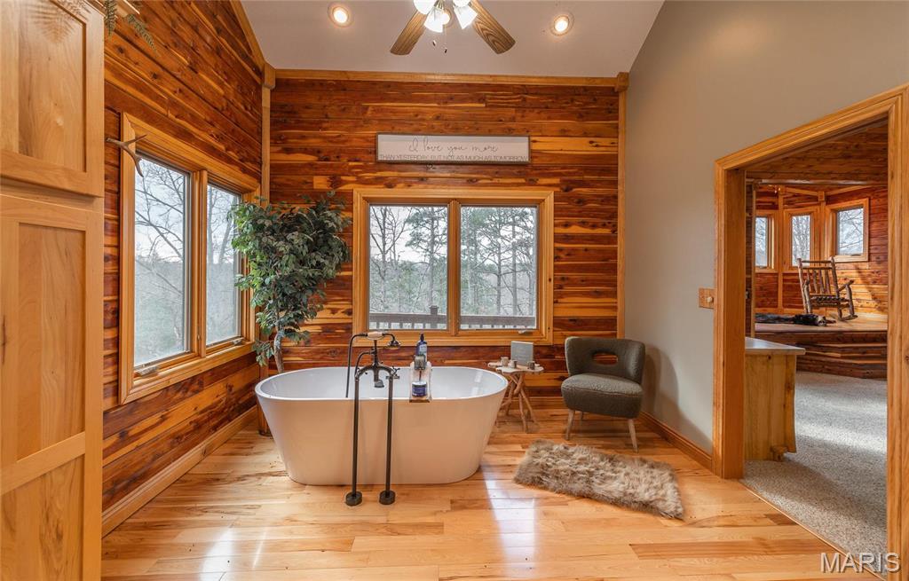 3403 Ripley Bb-2 Doniphan, MO 63935 - Photo 70 of 99