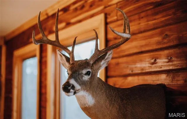 $1,100,000 | 3403 Ripley Bb-2, Doniphan, MO 63935