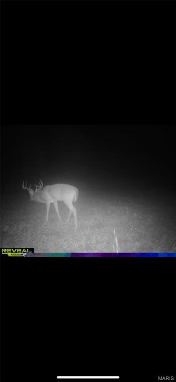 3403 Ripley Bb-2 Doniphan, MO 63935 - Photo 8 of 99