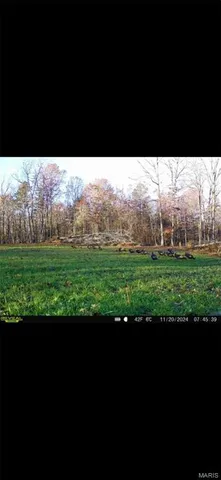 $1,100,000 | 3403 Ripley Bb-2, Doniphan, MO 63935